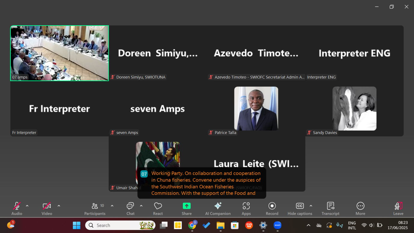 13th Session of the Working Party on Collaboration and Cooperation in Tuna Fisheries (WPCCTF)