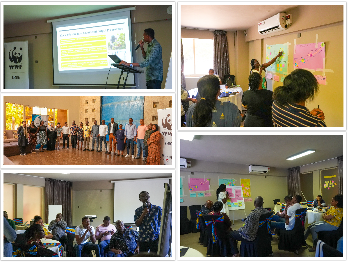 CSO Reflection and Learning Workshop SWIO SBE Programme (2021 - 2025)